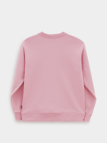 Худи и свитшоты Vans модель VN0A5AQ1BD51 Фото