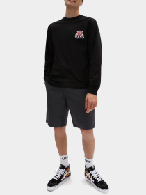 Шорты Vans модель VN0A5FJX1O71 Фото