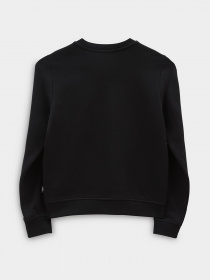 Худи и свитшоты Vans модель VN0A7RTXBLK1 Фото