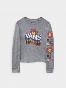 Худи и свитшоты Vans модель VN0A7RUYGRH1 Фото