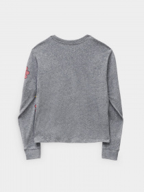 Худи и свитшоты Vans модель VN0A7RUYGRH1 Фото