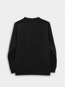 Худи и свитшоты Vans модель VN0A7Y4NBLK1 Фото