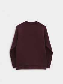 Худи и свитшоты Vans модель VN0A7Y4P4QU1 Фото