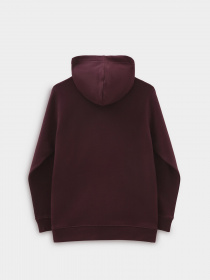 Худи и свитшоты Vans модель VN0A7Y4R4QU1 Фото