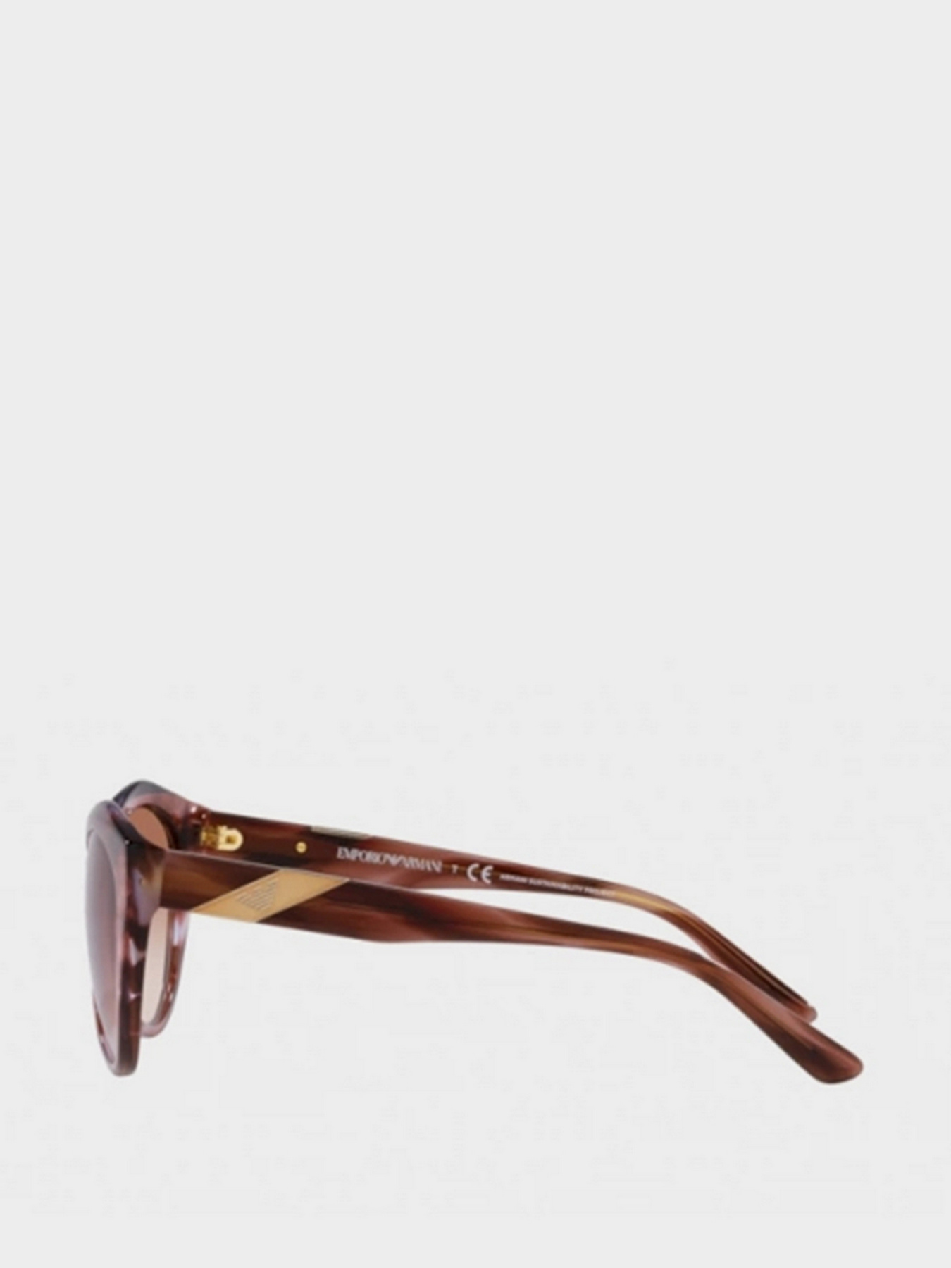 Очки Emporio Armani модель 0EA4178-52431354 Фото