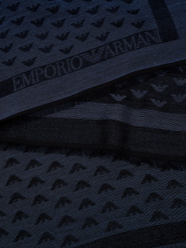 Шарфы и платки Emporio Armani модель 635300-CC102-00134 Фото