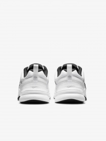 Кроссовки NIKE модель DJ1196-102 Фото