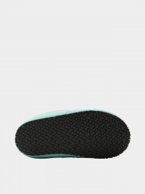 Слипоны и мокасины The North Face модель NF0A39UX9W21 Фото