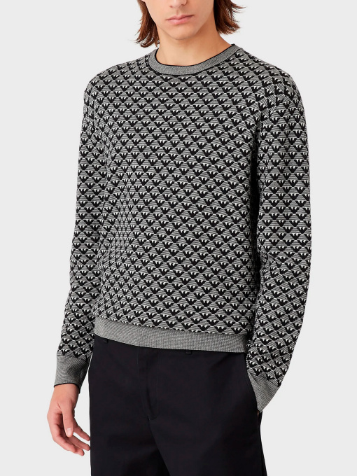 Худи и свитшоты Emporio Armani модель 6L1MX1-1MPRZ-F118 Фото