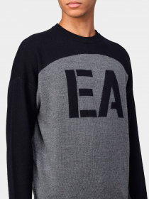 Худи и свитшоты Emporio Armani модель 6L1MXL-1MBRZ-F626 Фото