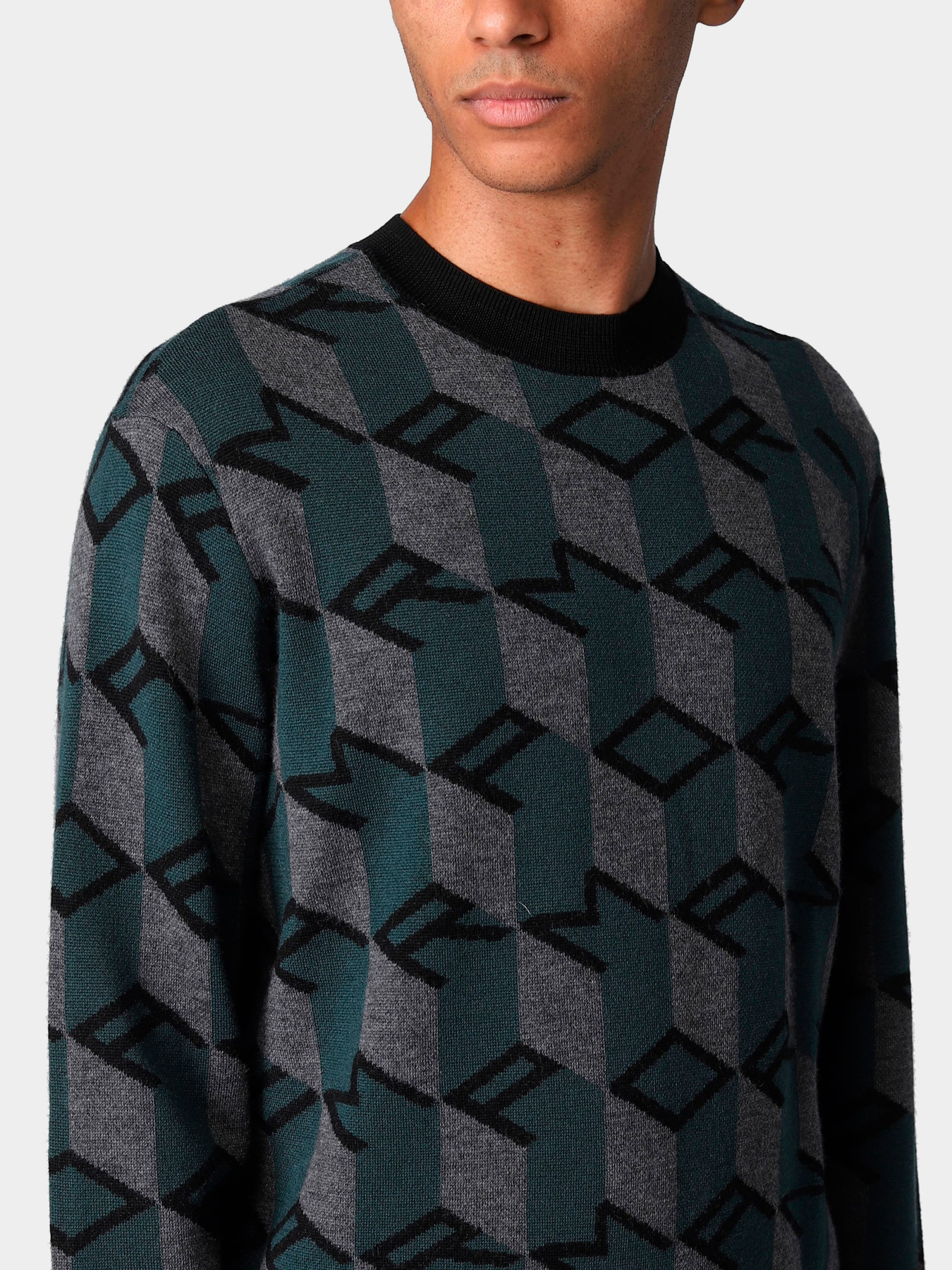 Худи и свитшоты Emporio Armani модель 6L1MXX-1MCQZ-F023 Фото
