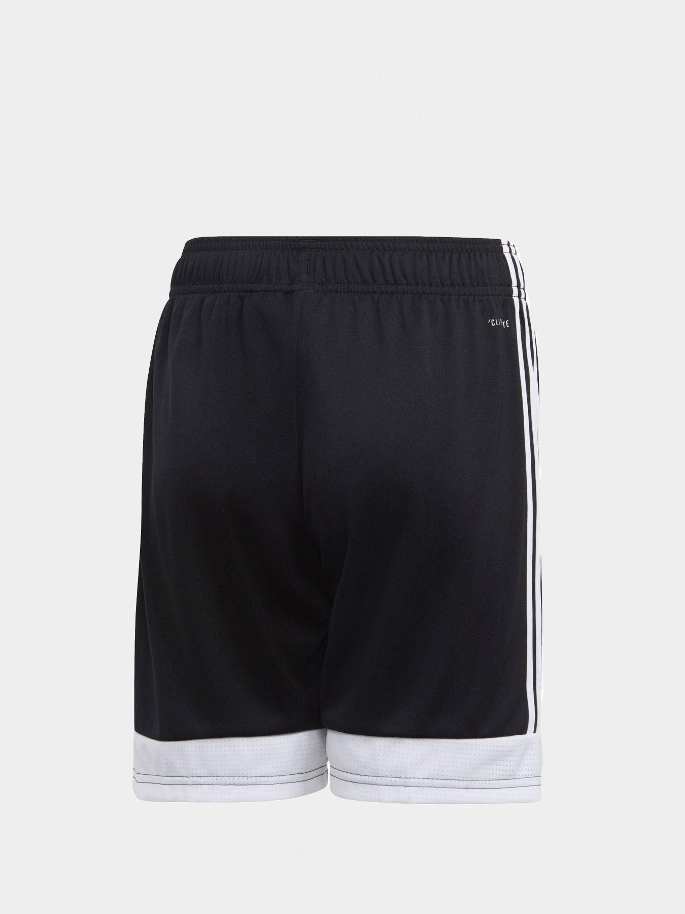 Шорты Adidas модель DP3173 Фото
