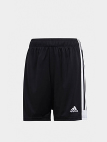 Шорты Adidas модель DP3173 Фото