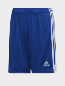 Шорты Adidas модель DP3686 Фото