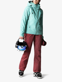 Брюки The North Face модель NF0A4R1I6R41 Фото