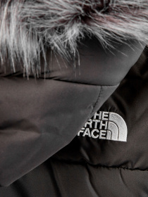 Куртки и дубленки The North Face модель NF0A4R33JK31 Фото