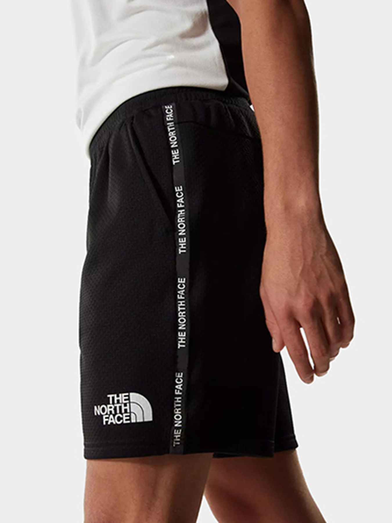 Шорты The North Face модель NF0A5579JK31 Фото