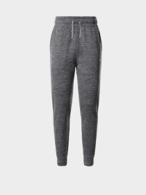 Брюки The North Face модель NF0A5GCBDYY1 Фото