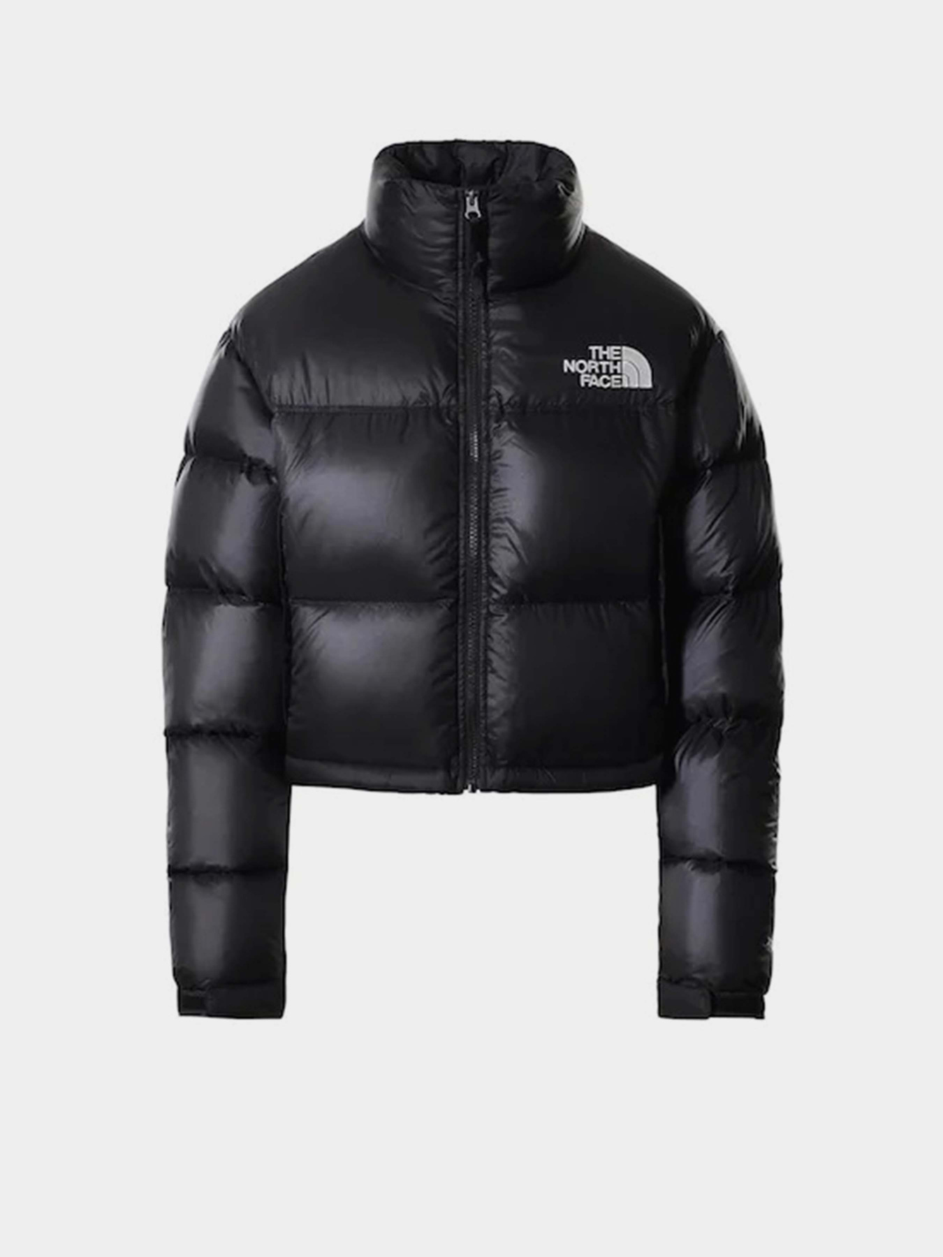 Куртки и дубленки The North Face модель NF0A5GGEJK31 Фото