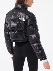 Куртки и дубленки The North Face модель NF0A5GGEJK31 Фото
