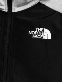 Худи и свитшоты The North Face модель NF0A5IEQGAU1 Фото