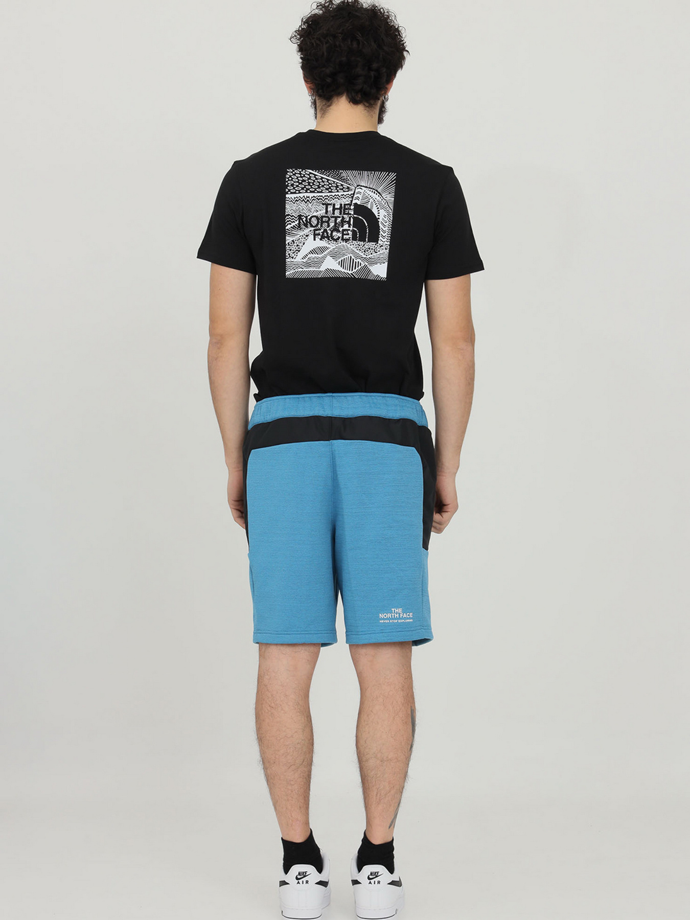 Шорты The North Face модель NF0A5IEX5V91 Фото