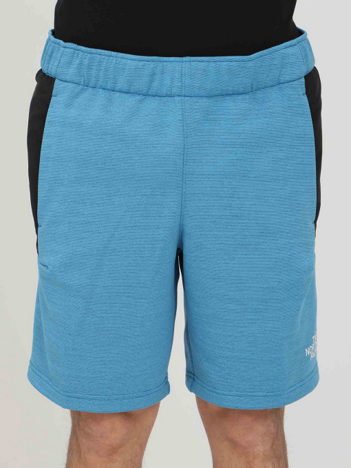 Шорты The North Face модель NF0A5IEX5V91 Фото