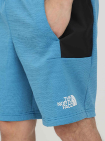 Шорты The North Face модель NF0A5IEX5V91 Фото