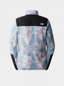 Худи и свитшоты The North Face модель NF0A5II694M1 Фото
