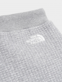 Шорты The North Face модель NF0A7R25DYX1 Фото