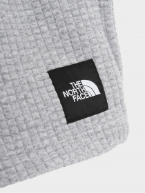 Шорты The North Face модель NF0A7R25DYX1 Фото
