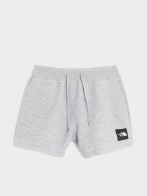 Шорты The North Face модель NF0A7R25DYX1 Фото