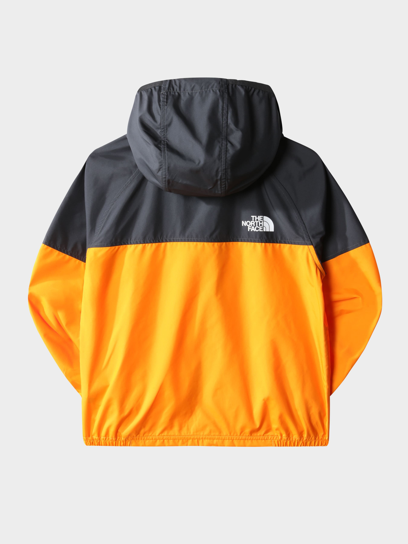 Куртки и дубленки The North Face модель NF0A7WPX78M1 Фото