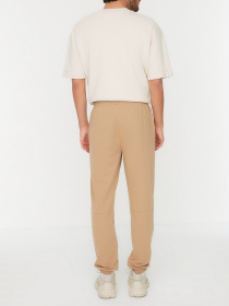 Брюки Trendyol модель TMNSS20EA0072/Camel Фото