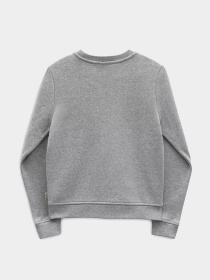 Худи и свитшоты Vans модель VN0A5ATO02F1 Фото