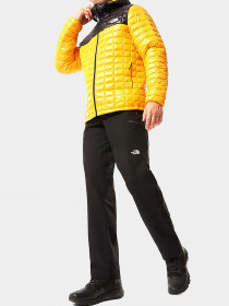 Брюки The North Face модель NF00CL9RJK31 Фото
