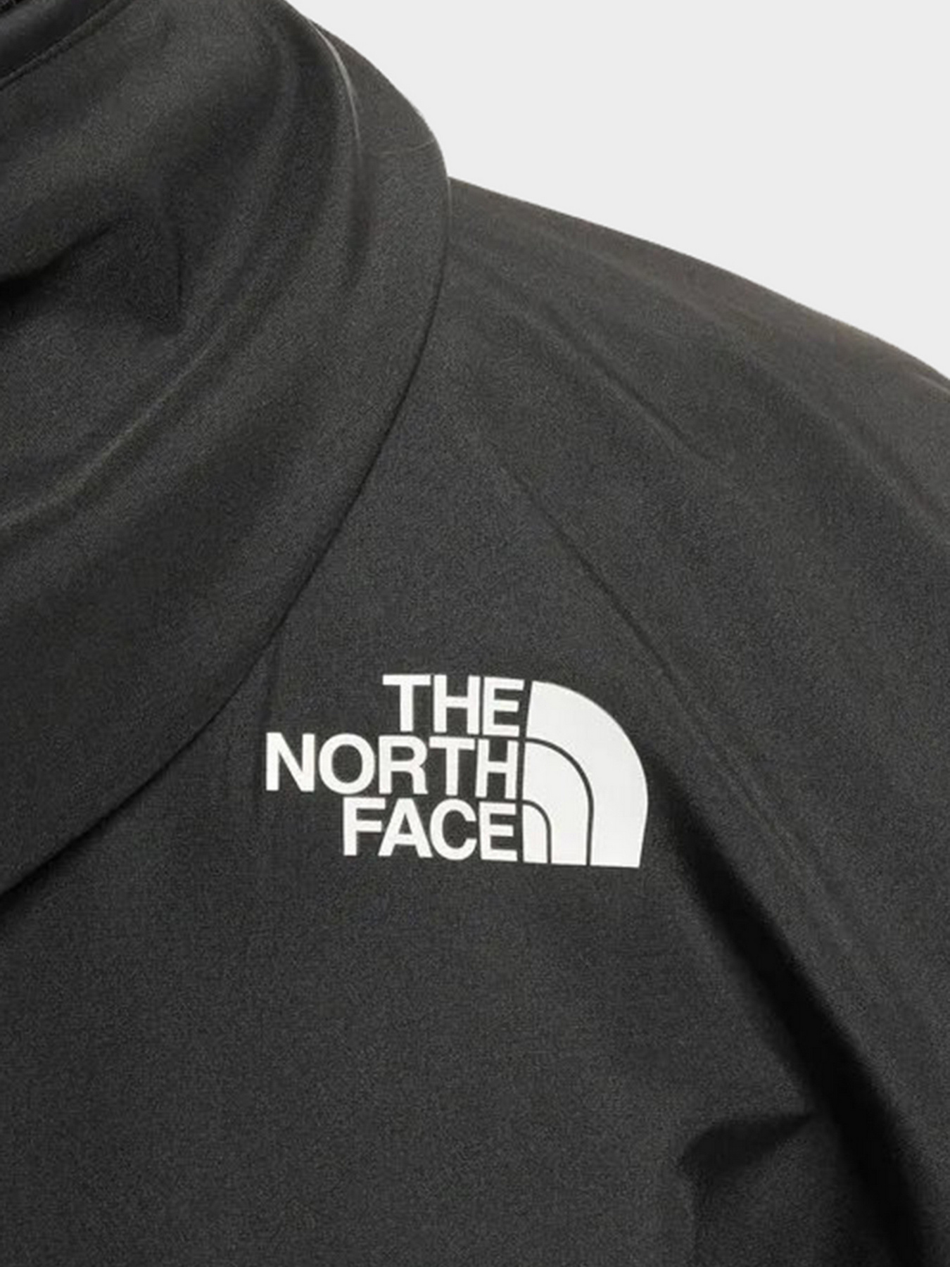 Куртки и дубленки The North Face модель NF0A5IEYKX71 Фото