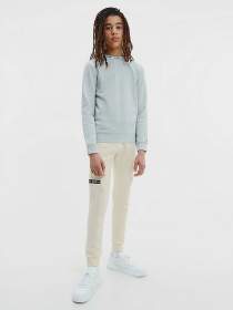 Брюки Calvin Klein модель IB0IB00919-ACJ Фото