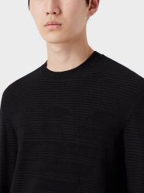 Худи и свитшоты Emporio Armani модель 6K1MXD-1MVRZ-0920 Фото