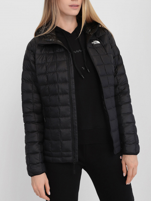 Куртки и дубленки The North Face модель NF0A5GLCJK31 Фото