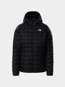 Куртки и дубленки The North Face модель NF0A5GLCJK31 Фото
