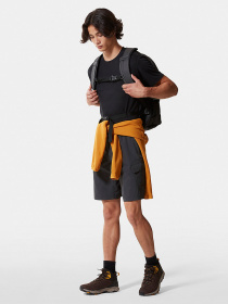 Шорты The North Face модель NF00CF720C51 Фото