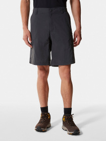 Шорты The North Face модель NF00CF720C51 Фото