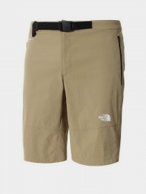 Шорты The North Face модель NF0A495OPLX1 Фото
