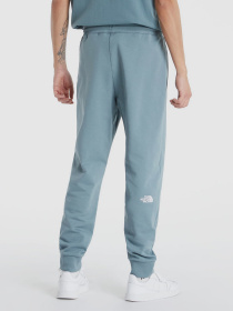 Брюки The North Face модель NF0A4T1FA9L1 Фото