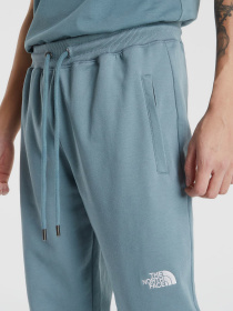 Брюки The North Face модель NF0A4T1FA9L1 Фото