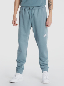 Брюки The North Face модель NF0A4T1FA9L1 Фото