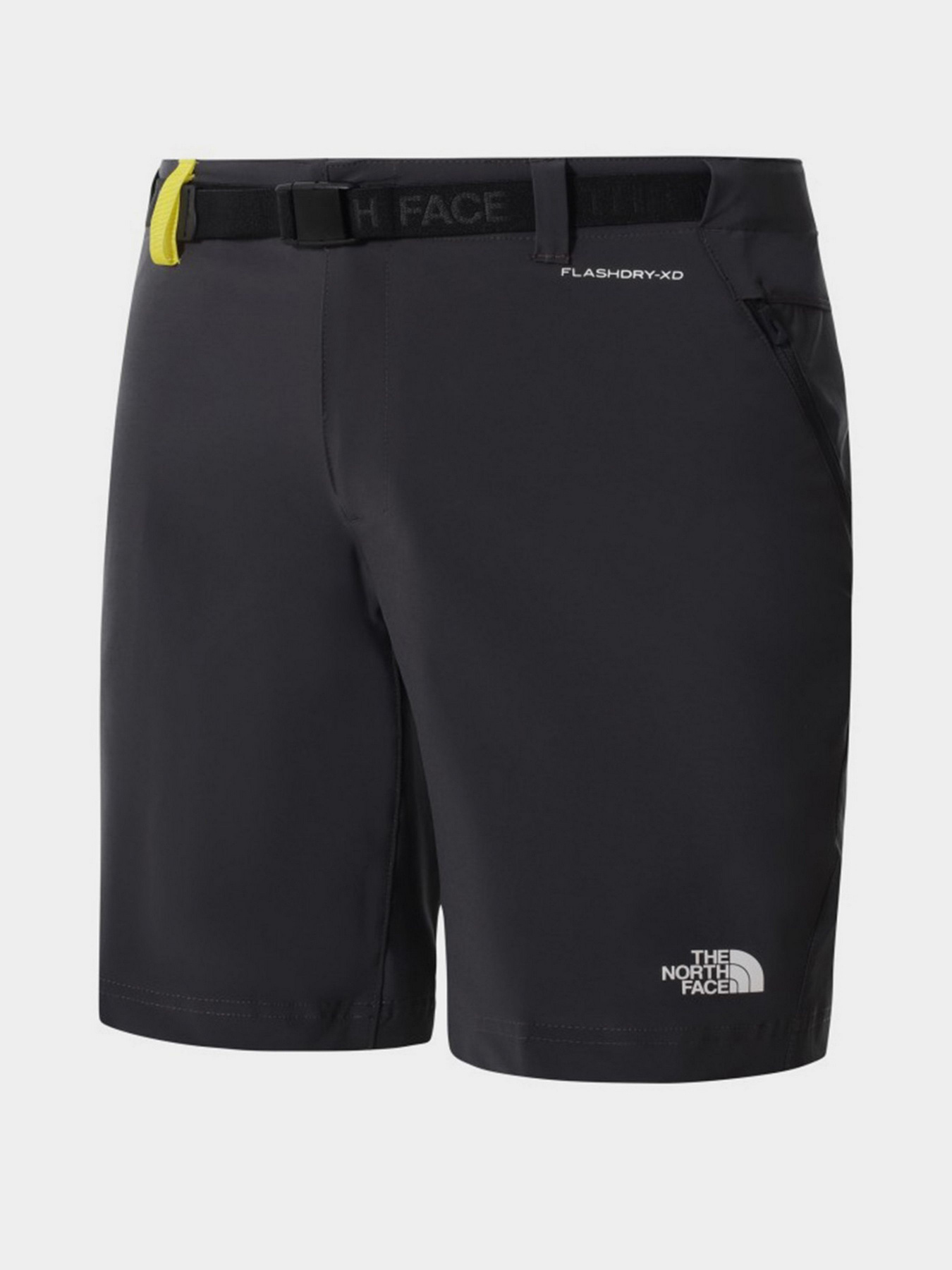 Шорты The North Face модель NF0A558FY0K1 Фото