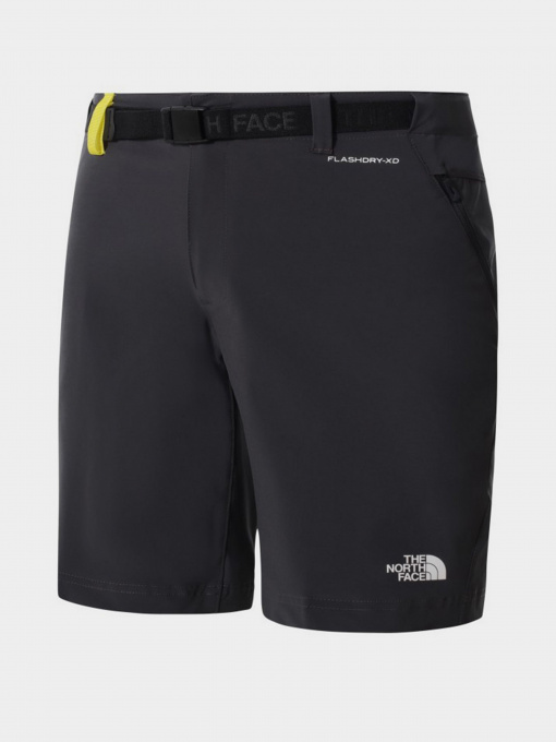 Шорты The North Face модель NF0A558FY0K1 Фото