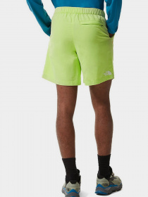 Шорты The North Face модель NF0A5IG5HDD1 Фото